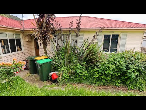 Epic Yard Cleanup Operation SAVES Single Mom's Sanity!