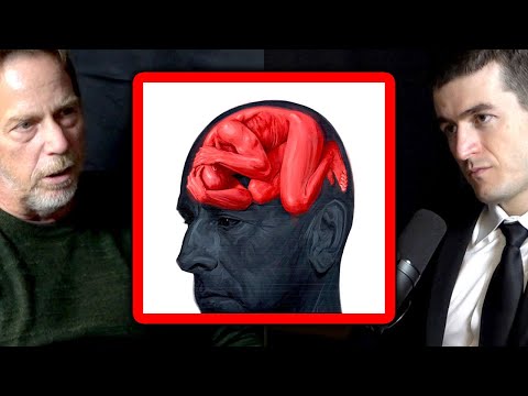 Escaping depression: Life is 100% deadly | Jim Keller and Lex Fridman