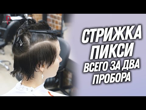 DEMETRIUS | PIXIE CUT WITH JUST TWO PARTS