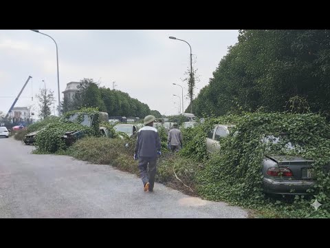 Clean up abandoned and eerie sidewalks and unimaginable landscapes