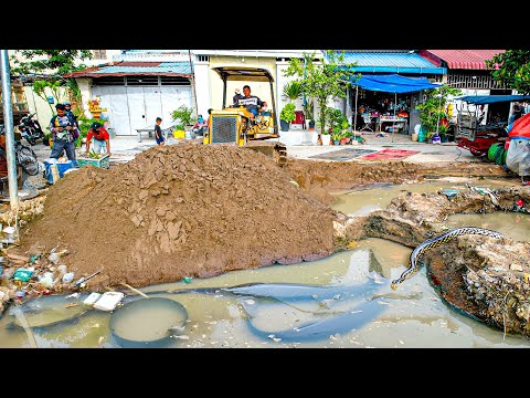 Perfectly New Project Mix! Using Skill Dozer Filling Sand Into Flooded Garbage Area with 5Ton Trucks