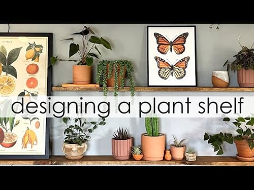 Designing a Plant Shelf