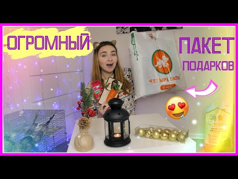 ПОКУПКИ ИЗ ЗООМАГАЗИНА! / ОГРОМНЫЙ ПАКЕТ ПОДАРКОВ ДЛЯ ПИТОМЦЕВ! / ПОКУПКИ ДЛЯ КРОЛИКА и КРЫС!