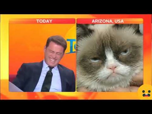 Top 6 Laughing News Anchors. Cracking. Up.