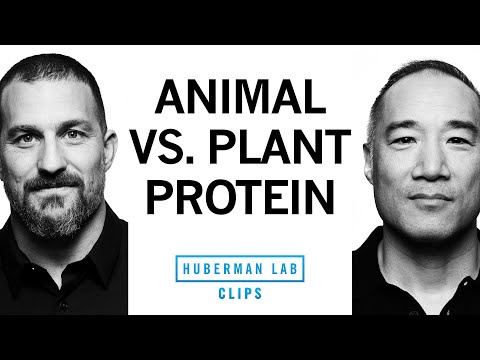 The Truth About Animal vs. Plant Protein Quality | Alan Aragon & Dr. Andrew Huberman