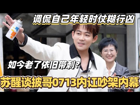 苏醒曝光披哥0713内讧吵架内幕!调侃自己仗糊行凶如今依旧带刺!#披荆斩棘2025 #0713 #再就业男团 #苏醒