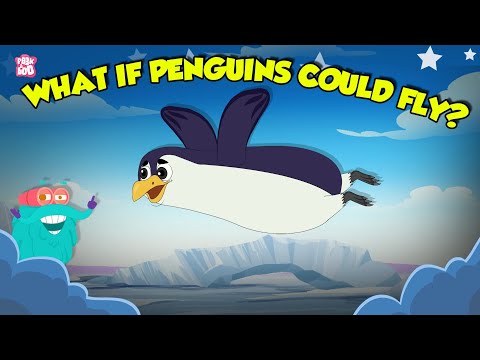 What if Penguins Could Fly? | How Does a Penguin Launch itself From The Sea? | The Dr. Binocs Show