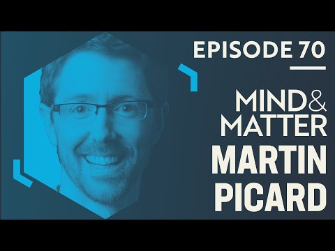 Mitochondria, Aging, Energy, Metabolism, Gray Hair Reversal, Brain-Body Connections | Martin Picard