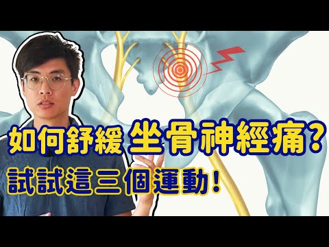 如何舒緩坐骨神經痛? 快試試這三個運動! 緩解椎間盤突出、梨狀肌症候群! ▏北木健身