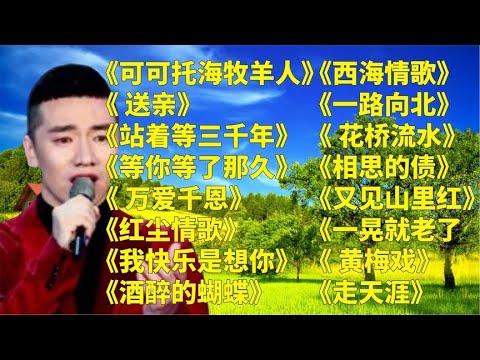 王琪原唱u003C可可托海的牧羊人u003Eu003C送亲u003Eu003C站着等你三千年u003E