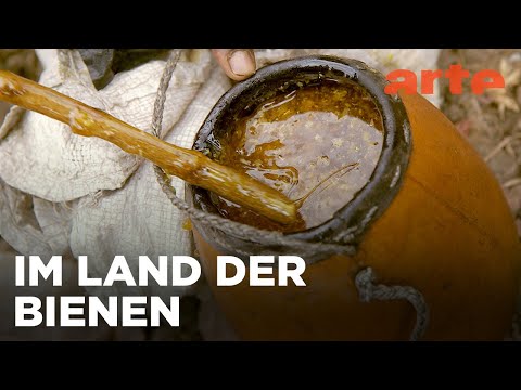 Äthiopien: Summende Schutzengel | Die Bienenflüsterer Reupload | ARTE Family