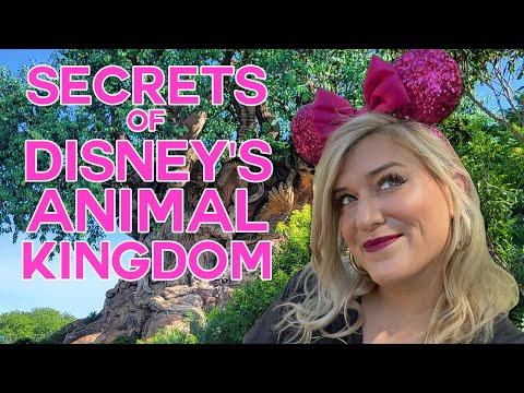 The BEST Kept Secrets Of Disney World's Most Popular Rides: Disney's Animal Kingdom