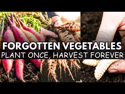 20 Forgotten Vegetables That Grow Like Weeds - The Lazy Gardener's Goldmine | Nostalgia Veggies