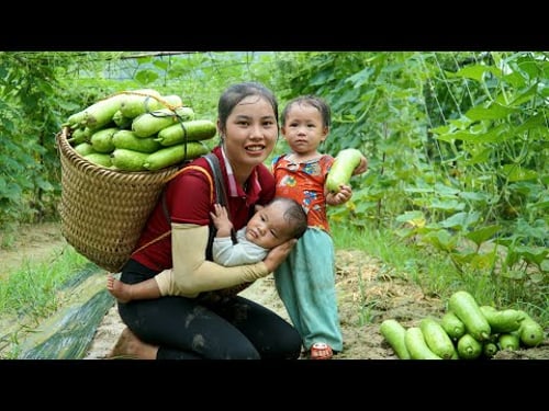 Harvest the gourds and bring them to the market to sell - cook with the children from the gourds