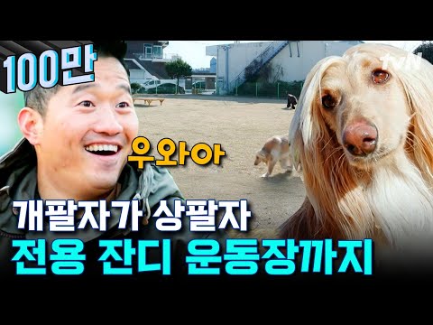 강형욱도 반했다😍 300평 운동장에서 뛰노는 박완규 닮은 아프간 하운드X 몰티즈 삼남매 | 고독한훈련사