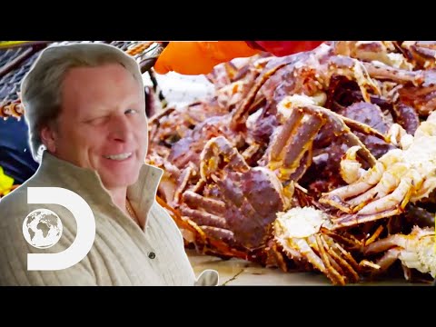 EVERYTHING You Missed On Series 1 Of Deadliest Catch: The Viking Returns!