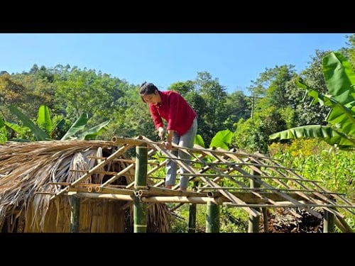 Homeless girl rebuilds abandoned house with bamboo, new life begins