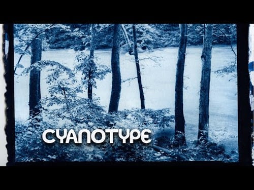 8x10 Cyanotype Printing - Large Format Friday