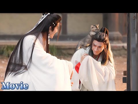 Luo Yunxi charming a kitten? BTS shows the cold kitty asking for cuddles! 💕