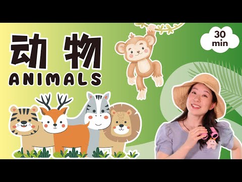 动物 - 宝贝中文小课堂| Animals - Toddler Learning with Baobei Chinese