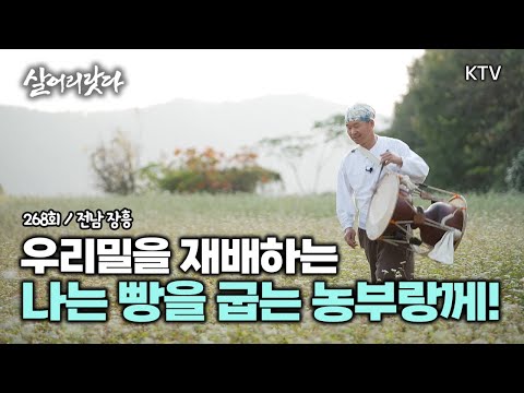 (전남 장흥/268회) "아따~, 저는 장흥서 우리 밀로 빵굽는 농부랑께요!" koreatv, farmer, buckwheat flower, wheat, bread