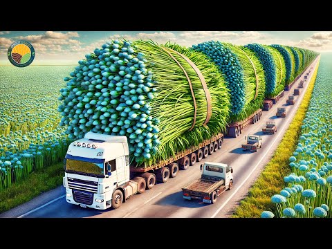 How Farmers Harvest Flax: Flax to Linen - From Sowing to Sewing | Farming Documentary