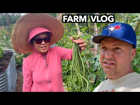 Building & Growing For a Better Life on the Farm