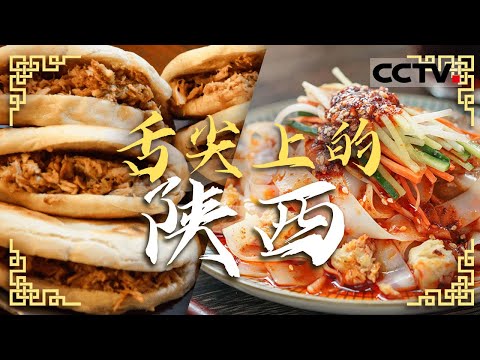 陕西地道美味来袭!每一款都是舌尖顶流 胡辣汤 肉夹馍 羊肉泡馍 水盆羊肉——舌尖上的陕西【CCTV纪录】