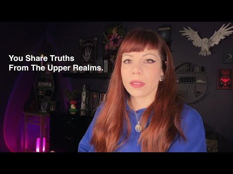 WHILE THEY SQUAWK, YOU SOAR // YOU SEE THE WHOLE PICTURE // THEY GET CAUGHT IN THE WEEDS