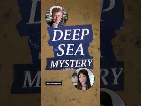 Who made these mysterious holes?