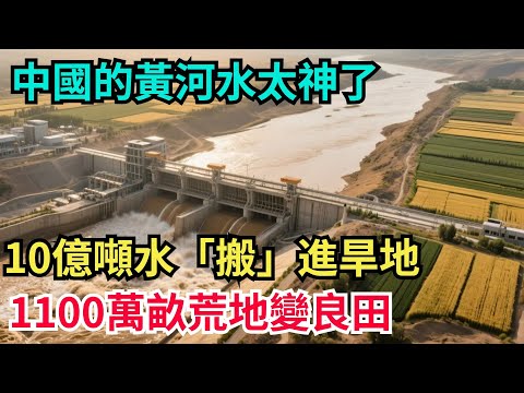 中國的黃河水太神了!10億噸水「搬」進旱地,1100萬畝荒地直接變良田【八哥說世界】#科普 #沙漠 #超級工程 #建造 #熱門 #中國基建 #沙漠工程 #中国基建 #水利工程