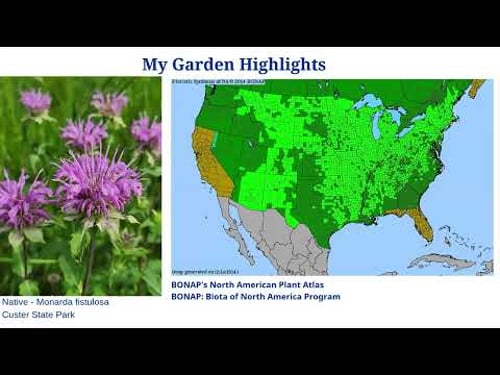 Garden Hour: July 29 - Master Gardener Summer Updates; Pollinators and Plants