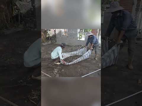 Cleaning Up the Front Yard of an Abandoned Café After the COVID-19 Pandemic