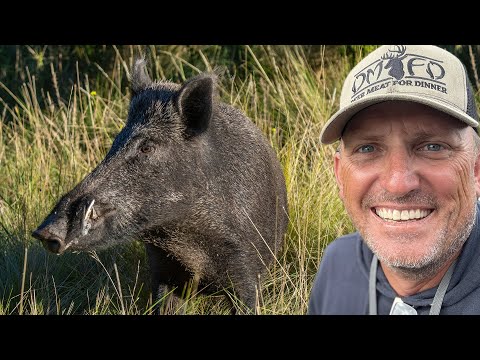 Wild Hog, Deer and Ducks! {Catch Clean Cook} Open Fire Cooking!