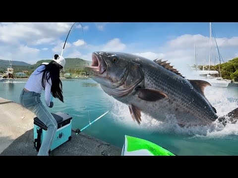 盘黑坑水库嚣张老板!1500一小时的海钓场,狂钓失十条百斤大海鱼,吓的老板要退钓费求放过!