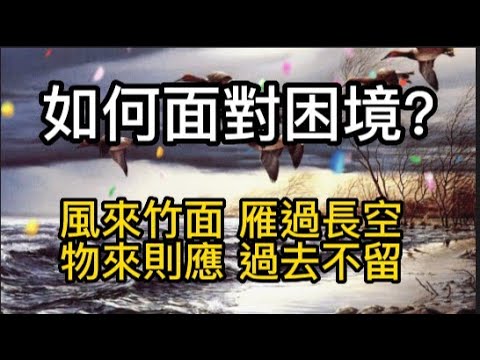 如何面對困境? 風來竹面 雁過長空 物來則應 過去不留