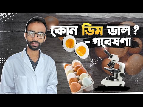 ডিম গবেষণা 👉🏼কোনটা ভাল- কাঁচা নাকি রান্না; ফার্ম নাকি দেশি; মুরগী নাকি হাঁস? Sabbir Ahmed