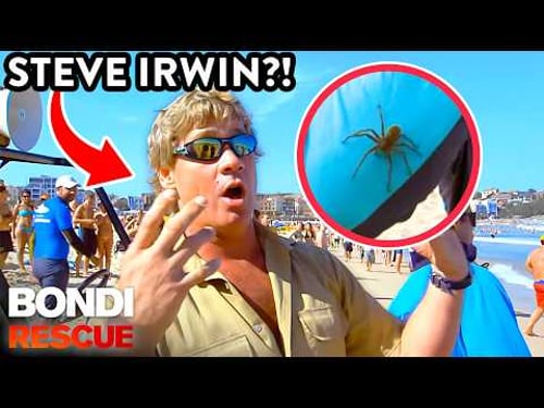 From The Irwins to Huge Spiders - 6 Moments That Scream Australia