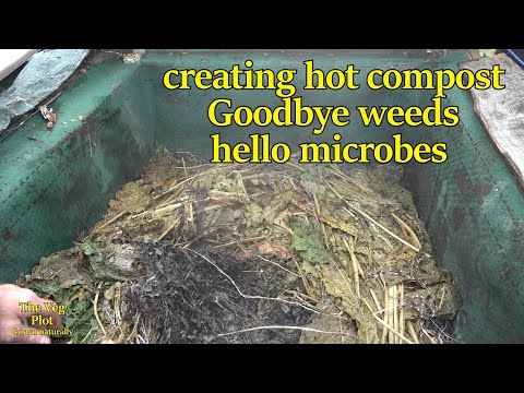 How to make hot compost: full of life