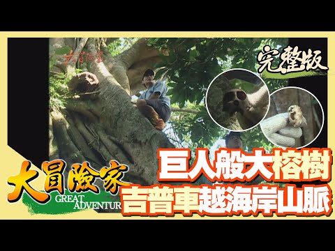 【大冒險家】花蓮 海岸山脈叢林吉普車 (尋找 F-5E 戰鬥機失事地/大榕樹下驚見猴骨頭 & 百步蛇蛇蛋)│2002.09.02│140集完整版