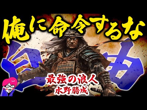 戦国最強のニート【水野勝成】暴力逆ギレ家出でチート大名になった真面目が馬鹿を見る人生 剣豪猛将武人シリーズ