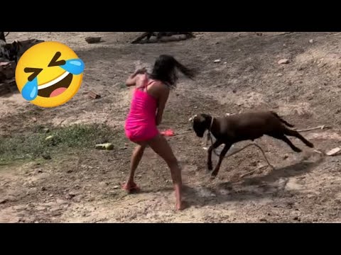 Try Not To Laugh π€£ Top 100 Funniest Fails & Memes From Around The World Compilation π | Part 18