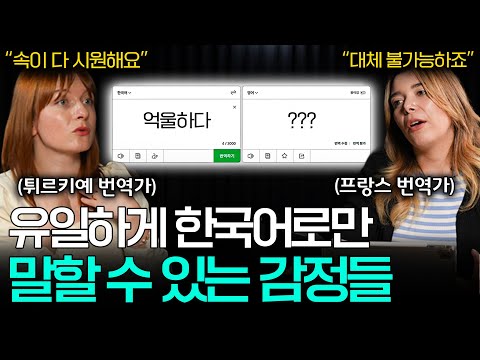 외국인들이 한국인들의 감정 표현에 놀라는 이유ㅣ세상을 번역하다📖 EP.20