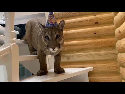 Happy Birthday Messi! 5 years!