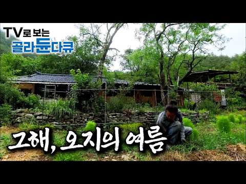가도 가도 끝이 없는 첩첩산중에서 만나는 숨겨진 곳, 오지에서 누구보다 행복한 나날을 보내고 있는 사람들|하늘 아래 첫동네에 나무위의 오두막을 지었다|한국기행|#골라듄다큐