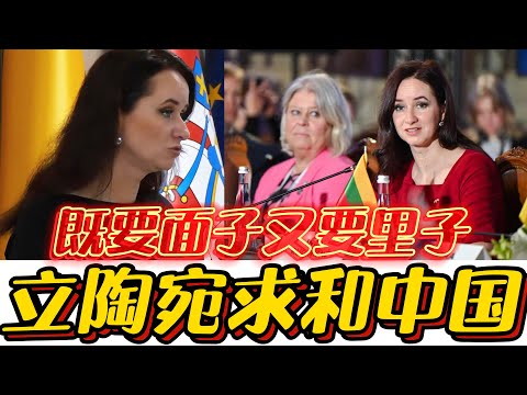 Lithuanian PM demands China restore ties, setting a precondition