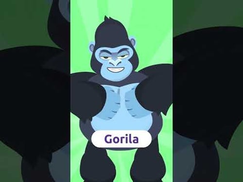 π―π³ Wild Animals π¦ Dance with the Crocodile, the Gorilla, the Zebra, the Tiger π Letβs Learn Spanish!