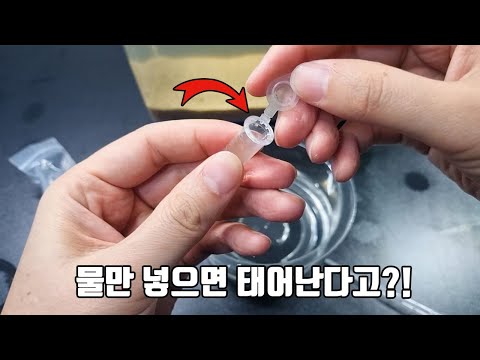 A mysterious creature that can be preserved for decades in a warehouse! Can it really be born jus...