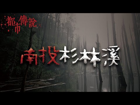 美麗的忘憂森林,為何當地人卻避而遠之? @Mr.希爾