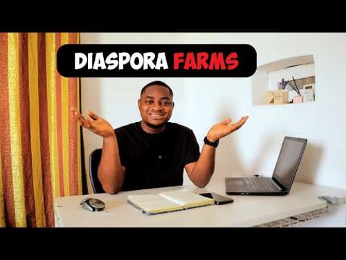 If I Was in the Diaspora, These Are the Farms I’d Invest in Ghana in 2026 🇬🇭